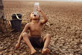 Raise Funds For Clean & Healthy Food