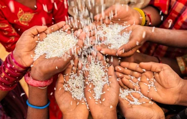Food Kits Distributed to Covid-19 Affected Individuals